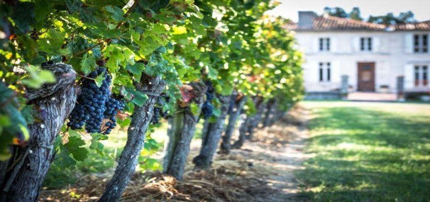 L'Hermitage D'Alienor Lugon et l’Ile du Carney エクステリア 写真