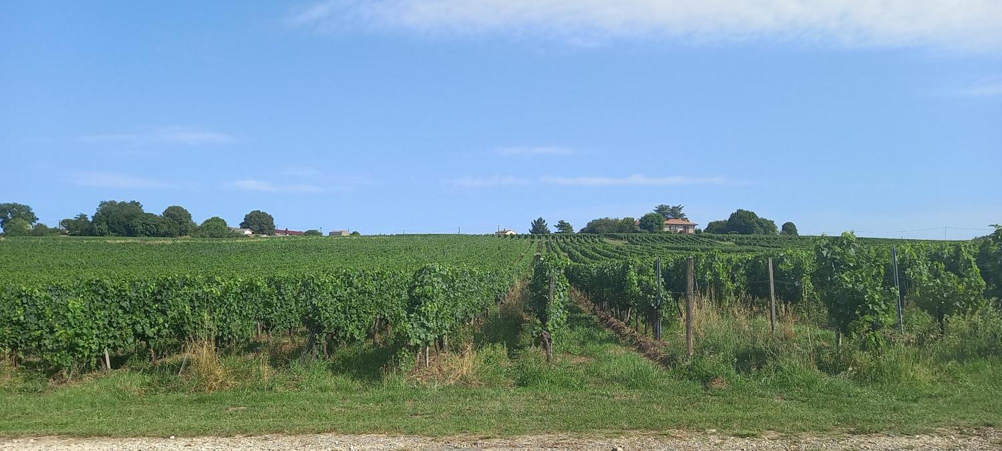 L'Hermitage D'Alienor Lugon et l’Ile du Carney エクステリア 写真