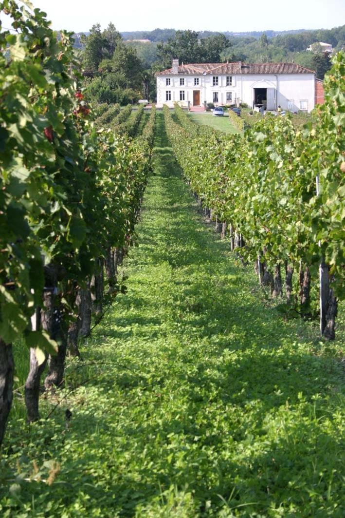 L'Hermitage D'Alienor Lugon et l’Ile du Carney エクステリア 写真